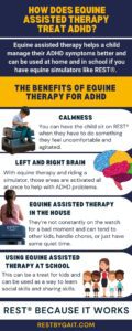 How Does Equine Assisted Therapy Treat ADHD